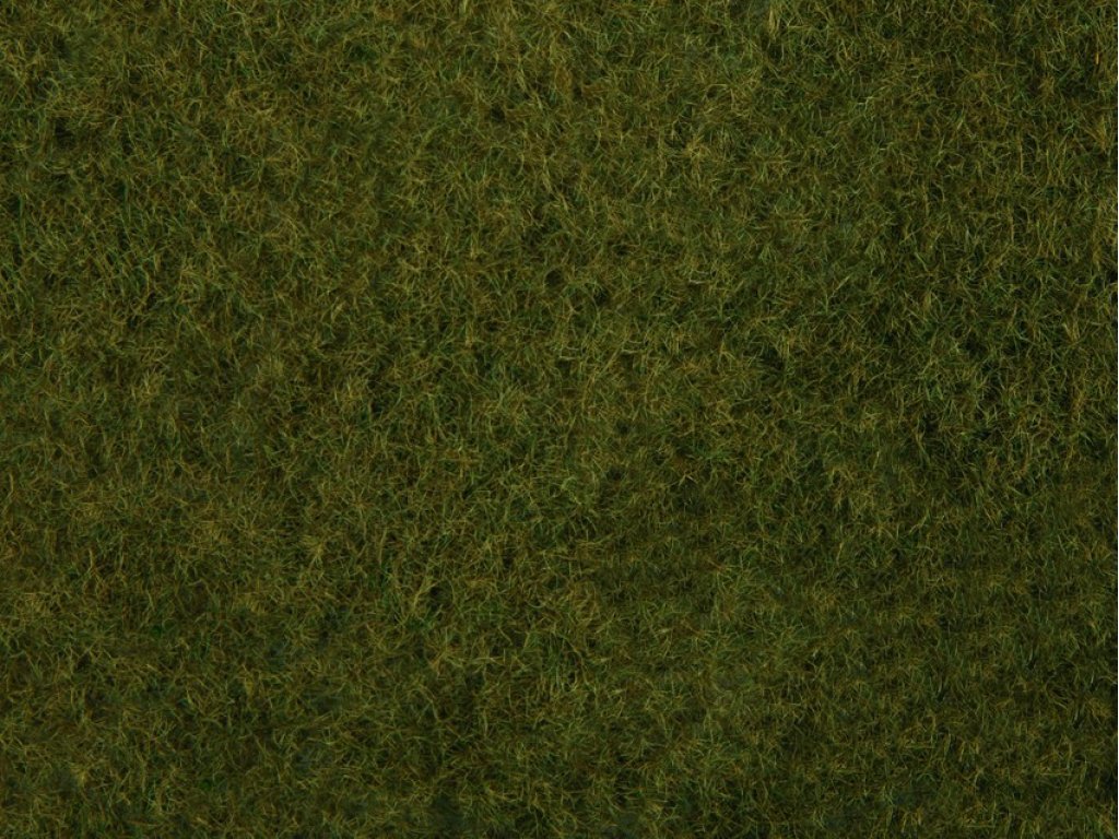 Travnatý koberec - divoká tráva olivově zelená - Noch 07282