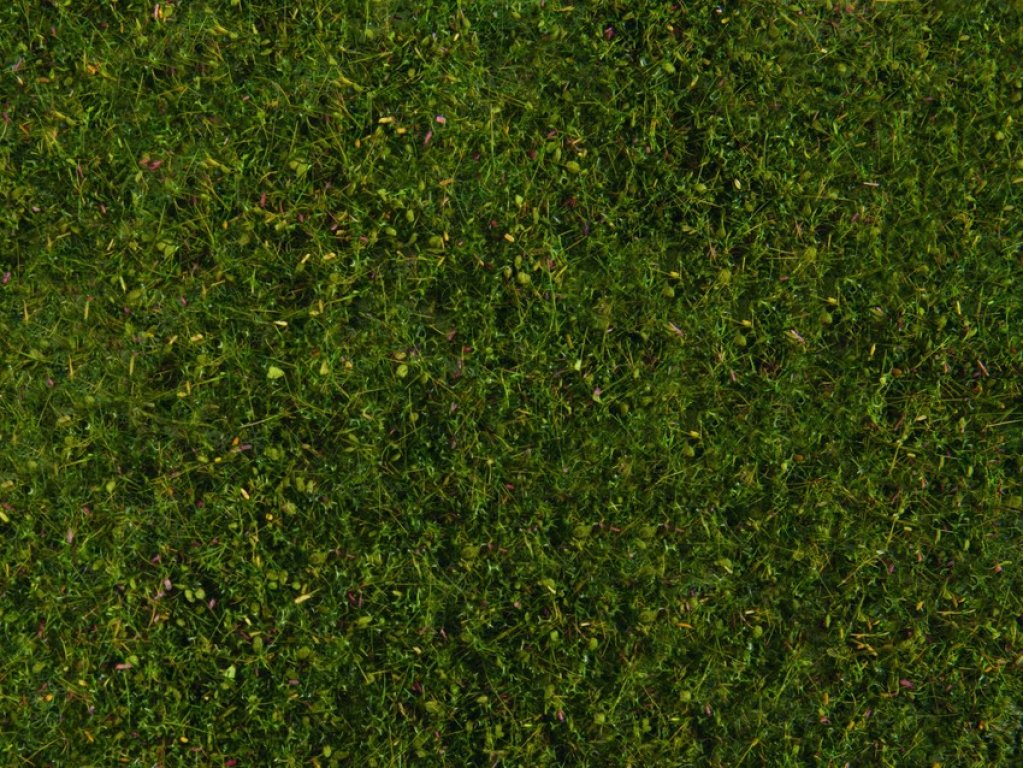 Travnatý koberec louka - světlejší zelená - Noch 07291