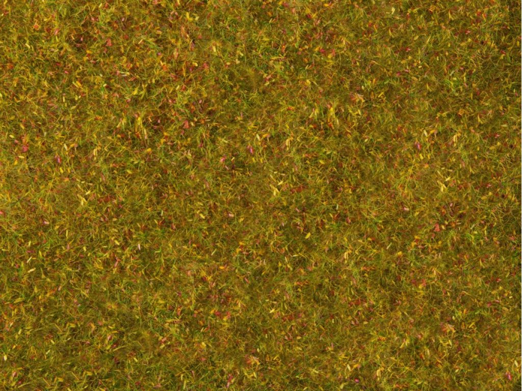 Travnatý koberec louka - zeleno žlutá - Noch 07290