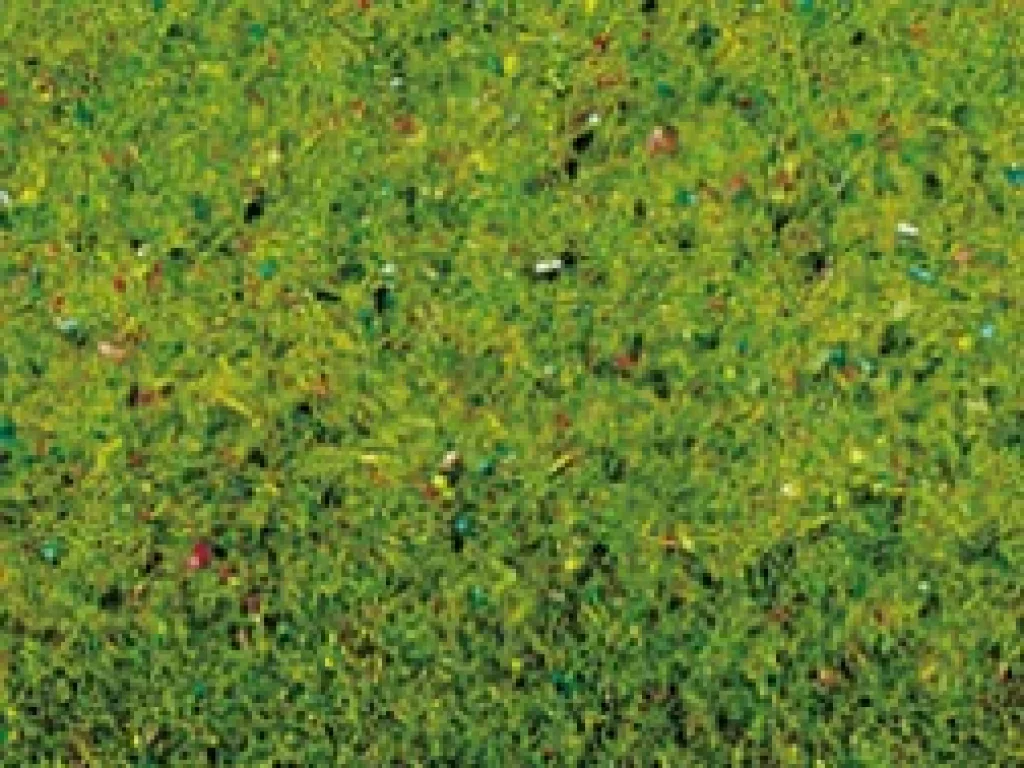 Travní koberec - květinová louka - Noch 00270