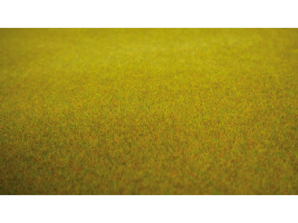 Travní koberec - letní louka - Noch 00280