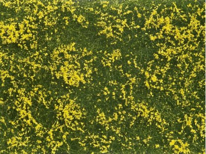 Foliáž - kvetoucí louka žlutě - Noch 07255