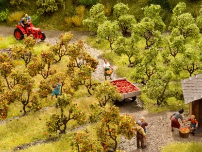 Plantáž stromů jabloní - Noch 21532