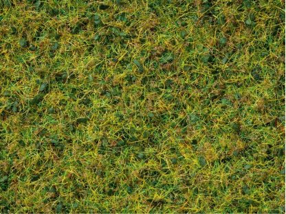 Statická tráva - směs pastvina 2,5 - 6 mm - NOCH 07073