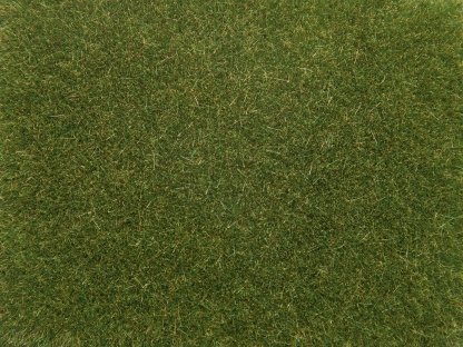 Statická tráva středně zelená - výška 4 mm - Noch 08364
