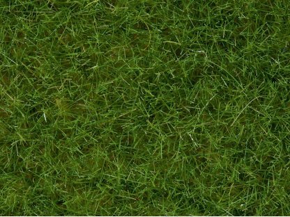Statická tráva - světle zelená 6 mm - NOCH 07102