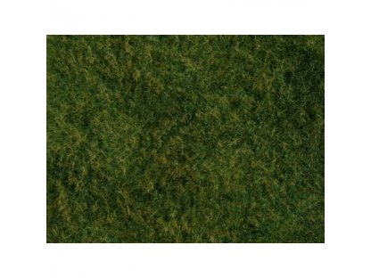 Travnatý koberec - divoká tráva světle zelená - Noch 07280