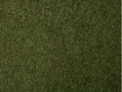 Travnatý koberec - divoká tráva tmavě zelená - Noch 07281