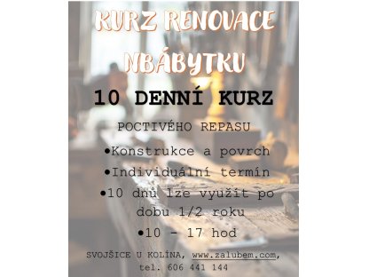 10 DNŮ - KURZ RENOVACE - KONSTRUKCE A POVRCH -TERMÍNY DOHODOU