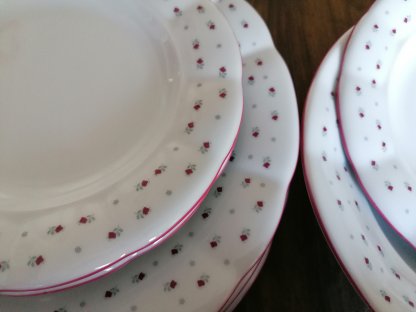 Babiččin porcelán - růžokvítky - tlustostěnný hluboký talíř - 24 cm