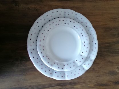 Babiččin porcelán - růžokvítky - tlustostěnný mělký talíř - 26 cm 2