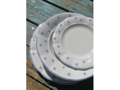 Babiččin porcelán - TEČKOKVÍTKY  - sada tlustostěnných talířů - 18 ks- vel. 24 cm 2
