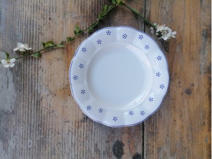 Babiččin porcelán - TEČKOKVÍTKY  - sada tlustostěnných talířů - 18 ks- vel. 24 cm