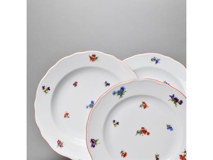 ..HÁZENKY - ČERVENÝ LEM - HLUBOKÝ TALÍŘ - 24 CM
